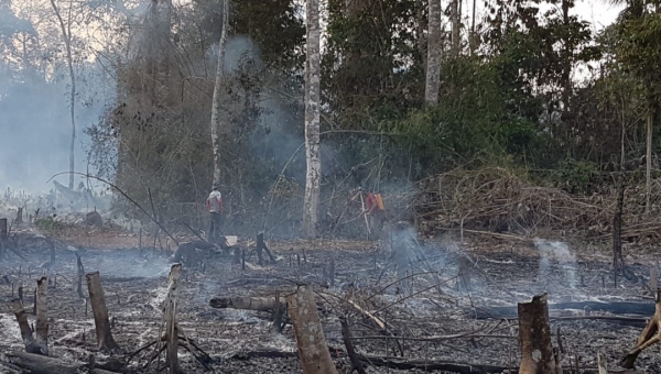 Fogo em área pertencente à Embrapa Acre já consumiu mais de 10 hectares